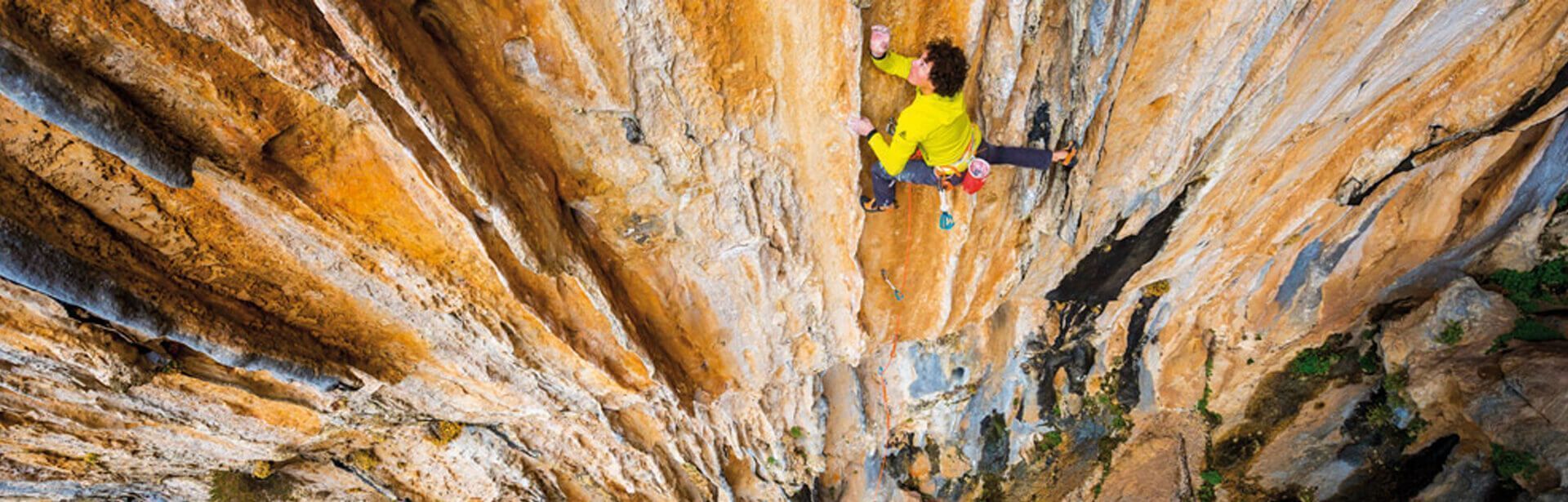 Petzl