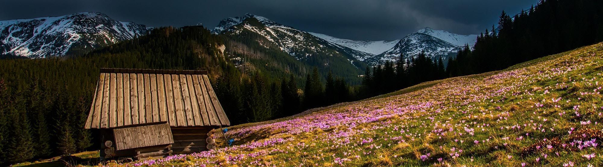 5 spomladanskih “outdoor” aktivnosti